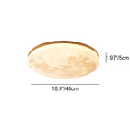 Sable Wood Flush Ceiling Light with Solid Trim