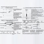 Sable Wood Flush Ceiling Light with Solid Trim