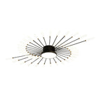Astra Firework LED Ceiling Light