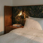 Faye Swallow Wall Light with Acrylic Diffuser